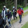 09 b Schluchensteig Etappe 4 - 6
